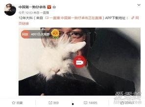 济南出轨爆料事件最新,真相与争议交织的婚姻漩涡 第3张 济南出轨爆料事件最新,真相与争议交织的婚姻漩涡 第3张